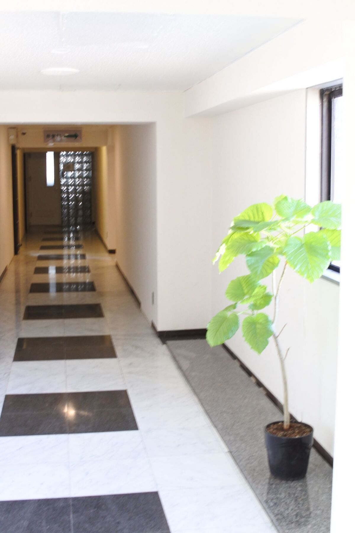 Kagoshima Guest House M104 - Hostel Zewnętrze zdjęcie